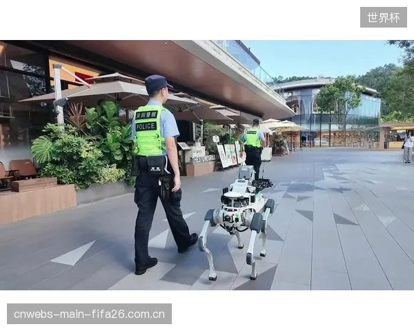 过度迷信NPU技术参数,却忽略与场馆现有安保运营流程的结合,是当前最大浪费 过度迷信NPU技术参数,却忽略与场馆现有安保运营流程的结合,是当前最大浪费